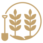 A shovel with two plants.