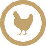 A chicken.